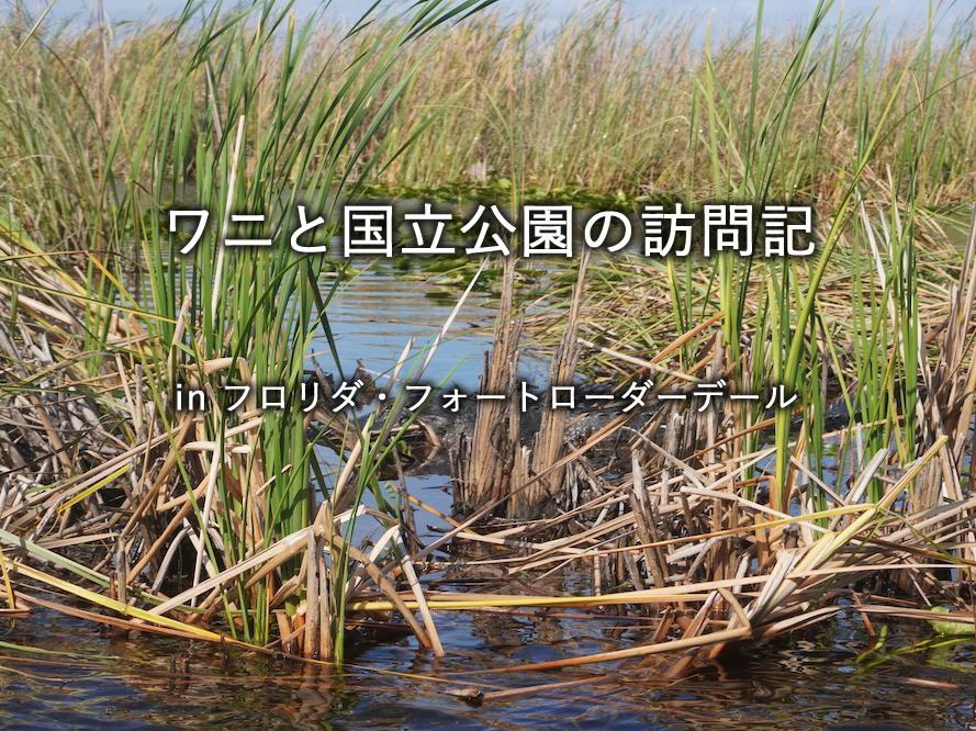 フロリダ州・フォートローダーデール「ワニと国立公園」