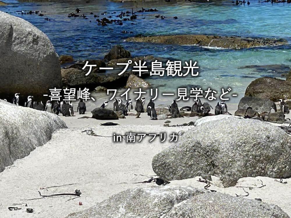 南アフリカ：ケープ半島観光（喜望峰、ワイナリー見学など）