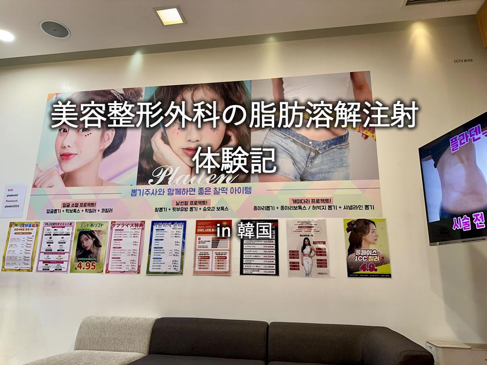 韓国の美容整形外科で脂肪溶解注射