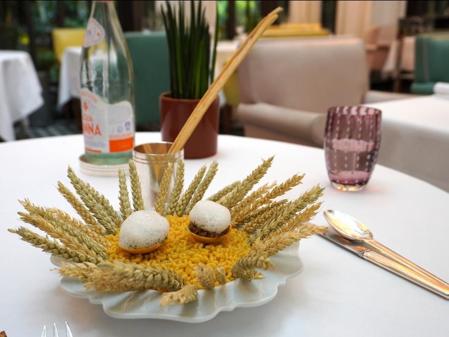 料理写真