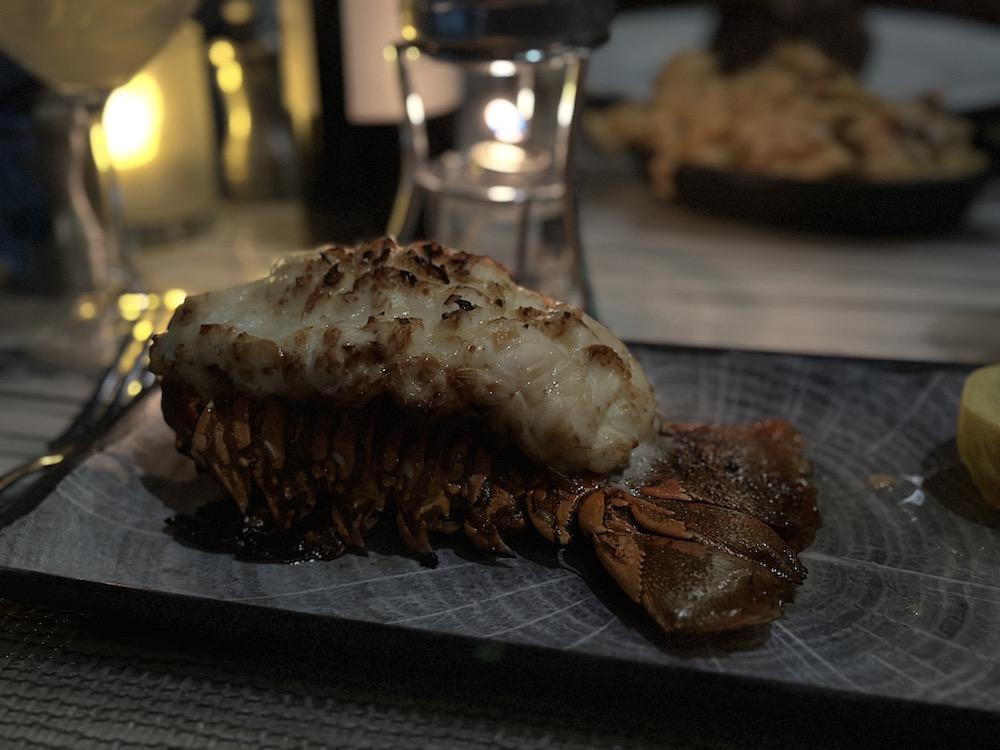 料理写真