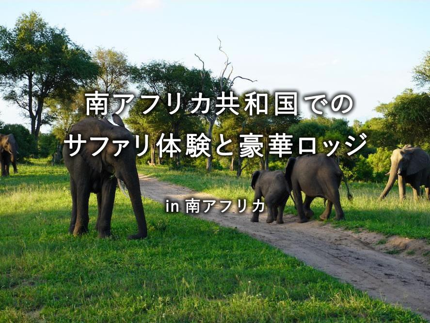 ビジネスクラスで行く「南アフリカ共和国でのサファリ体験と豪華ロッジ」を愉しむ旅